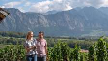 Alter Torkel, Bündner Herrschft, godere, Jenins, delizie culinarie, vigneti, uva, vino, degustazione di vino, regione vinicola
