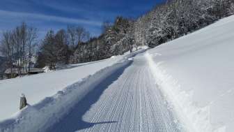Pista da slittino di Schrina