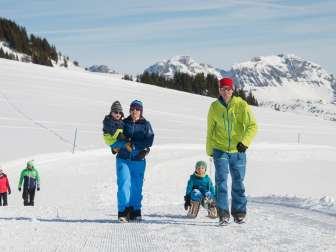 Neve, montagne