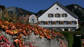 Azienda vinicola Donatsch & Winzerstube "zum Ochsen