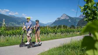 Tour del picnic in scooter elettrico Bündner Herrschaft