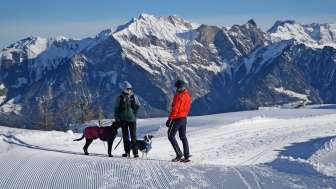 Pizol, neve, piani di calpestio, cane, escursioni invernali, gruppo alphorn Pardiel