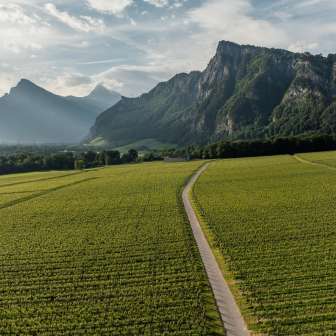 Bündner Herrschaft Heidiland Tourismus