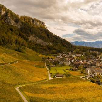 Vineyard Fläsch © Heidiland Tourismus