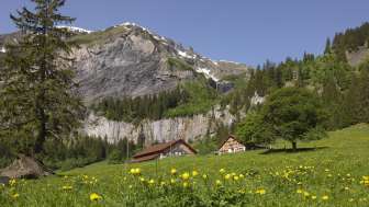 Alpe Walabütz