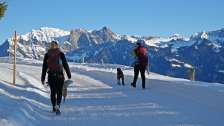 Neve, valle Tamina, Fürggli - Golerberg, cane, escursioni invernali