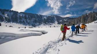 Esperienza con la fauna selvatica con le racchette da neve sul Flumserberg