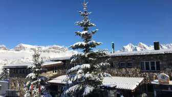 Albergo-Ristorante-Casa vacanze ALTE SEKTION