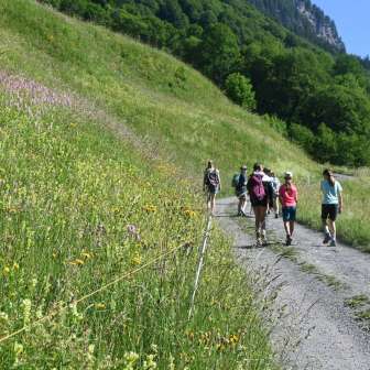 Sentiero lungo il percorso © Fondazione Erlebnis Weisstannental