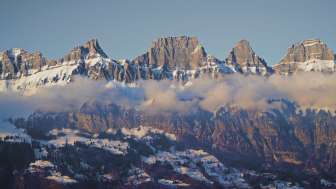 Inverno, neve, Seebenalp, Flumserberg, cane, escursioni invernali