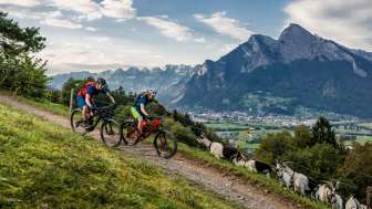 Heidiland Bike: tour in treno – Per principianti