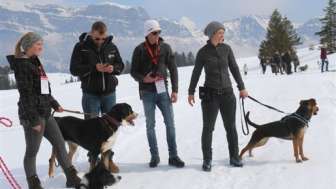 9. Militare invernale