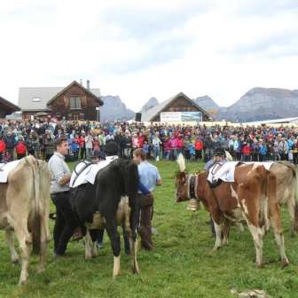 Formaggio di malga Kuhrennen b8a8a92e
