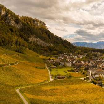 Vigneto Fläsch © Heidiland Turismo