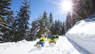 cielo blu, gruppo, Pizol, Pizolbahnen, slitta, slitta, pista per slitte, neve, sole, soleggiato, divertimento, bosco, paesaggio invernale, sogno invernale