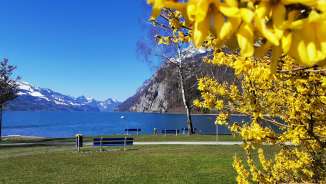 Lettini primaverili Montagne, sole