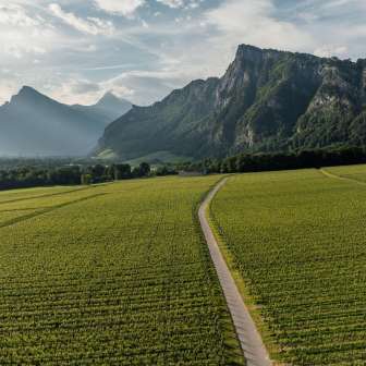 Bündner Herrschaft Heidiland Tourismus