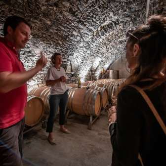 Visita a una cantina © Wine Tours Switzerland