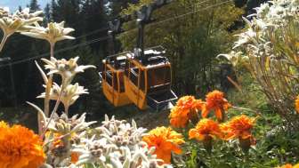 Stazione di servizio Malans