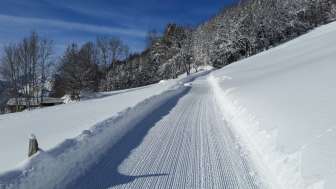 Pista da slittino di Schrina