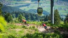 Montagne, Biking on Flumserberg, BlueSalamander, Bike