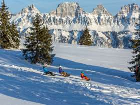 Prodalp, slittino, amici, pista da slitta, pista da discesa