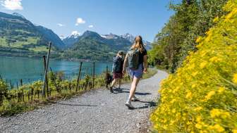 2025, alberi, montagne, blu, fiori, amiche, primavera, specchi d'acqua, verde, cane, guinzaglio, Quinten, lago, bosco, Walensee, escursionismo, acqua, sentiero, nuvole