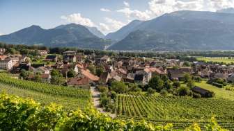 Esperienza di vino Fläsch