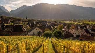 Vigneto_Fläsch Autunno Vino, villaggio
