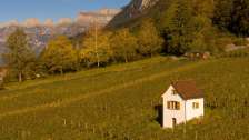 Heiligkreuz, Mels, viti, vino di San Gallo, vigneto