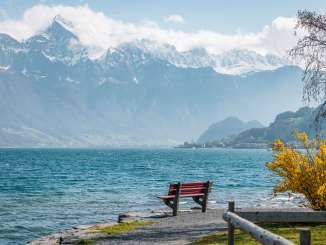 2025, panchina, montagne, Firnschneefäscht, forsizie, albero di forsizia, primavera, paesaggio e natura, panchina rossa, lago, panchina, passeggiata, pietre, lago di Walenstadt, acqua, sentiero, nuvole