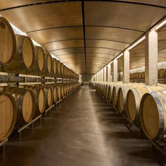 Cantina Davaz Winery © Davaz Winery
