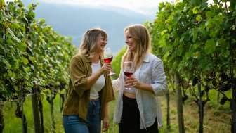 Degustazione di vini con zaino in spalla nella Bündner Herrschaft