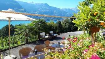 Grotta "KALIFORNI" CasaNova Vino puro