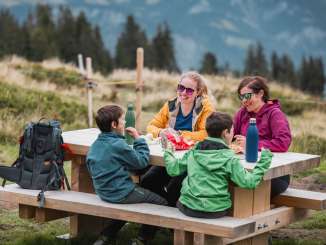 nuvoloso, picnic in famiglia, grigliata, area barbecue, bambini, picnic, cervo rosso di Rohan