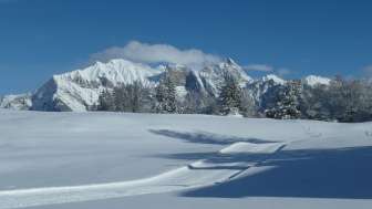 Neve, sci di fondo, piste da sci di fondo