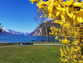 Montagne, sole