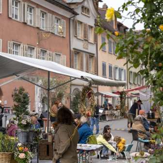 4 maggio 2024  DSC3776