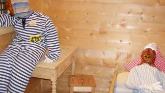 Museo delle maschere di Sargans Flums