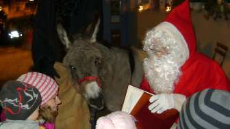 I pidocchi sami arrivano a Bad Ragaz