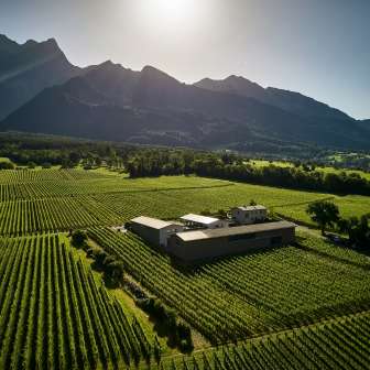 Cantina Davaz © Cantina Davaz