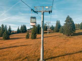 Bambini, passeggiata, autunno dorato, divertimento, esperienza
