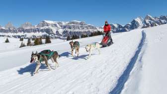 Slitta trainata dagli husky sul Flumserberg