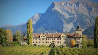 Cantina di Castel Salenegg