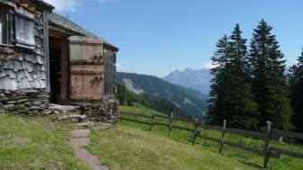 Capanna di pacciamatura