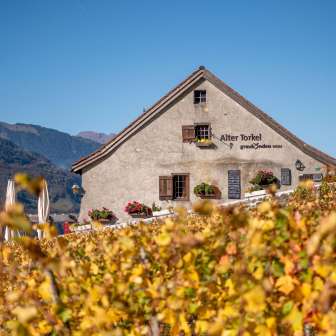 Il vecchio Torkel di Jenin © Heidiland Tourismus