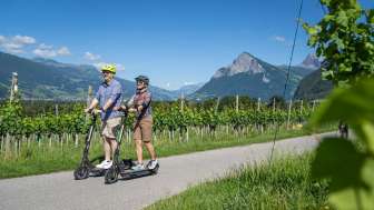 Tour del picnic in scooter elettrico Bündner Herrschaft