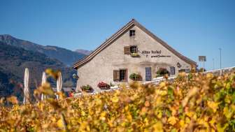 Il vecchio Torkel in autunno