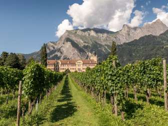 Castello di Salenegg