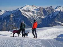 Pizol, neve, piani di calpestio, cane, escursioni invernali, gruppo alphorn Pardiel